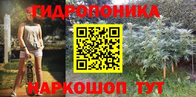 молекула духа Коммунар