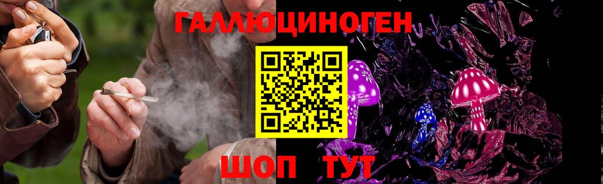Псилоцибиновые грибы GOLDEN TEACHER  Псилоцибиновые грибы мицелий  Красногорск  Вход с VPN 
